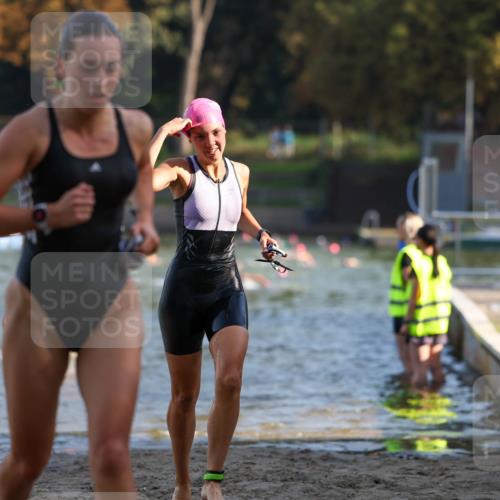 08.09.2024 - Stadtparktriathlon Michael Strokosch http://msf.ph/oto/7027301 08.09.2024 10:12:46 Schwimmen 290, 292, 332, 338, 352, 361 meine-sportfotos.de