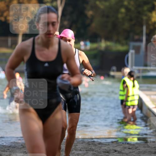 08.09.2024 - Stadtparktriathlon Michael Strokosch http://msf.ph/oto/7027304 08.09.2024 10:12:46 Schwimmen 290, 292, 332, 338, 352, 361 meine-sportfotos.de
