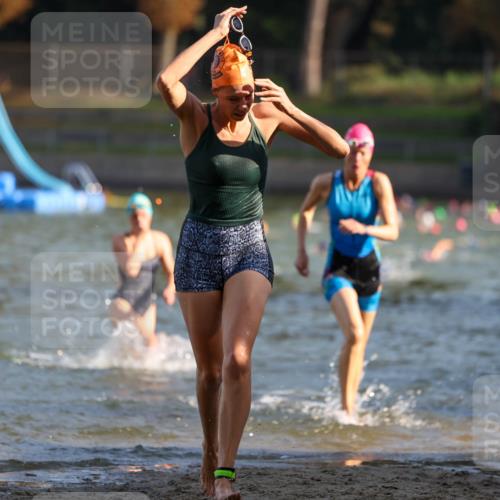 08.09.2024 - Stadtparktriathlon Michael Strokosch http://msf.ph/oto/7027329 08.09.2024 10:12:51 Schwimmen 290, 332, 338, 352 meine-sportfotos.de