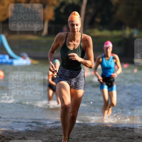 08.09.2024 - Stadtparktriathlon Michael Strokosch http://msf.ph/oto/7027341 08.09.2024 10:12:52 Schwimmen 290, 332, 338, 352 meine-sportfotos.de