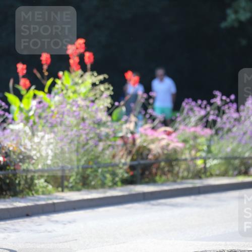 08.09.2024 - Stadtparktriathlon Zöllner http://msf.ph/oto/7027402 08.09.2024 10:55:24 Radfahren 266, 281, 296, 298, 307, 320, 343, 346, 373, 445, 456, 526, 536, 552 meine-sportfotos.de
