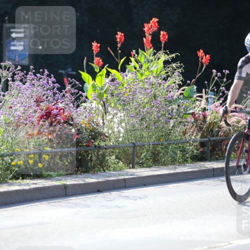 08.09.2024 - Stadtparktriathlon Zöllner http://msf.ph/oto/7027499 08.09.2024 10:56:02 Radfahren 411, 442, 537, 821 meine-sportfotos.de