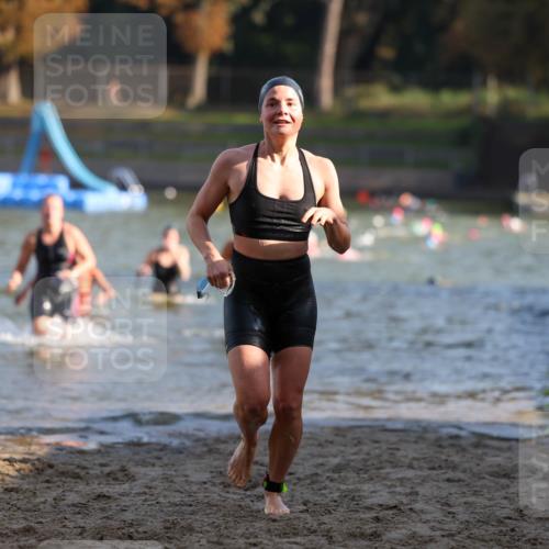 08.09.2024 - Stadtparktriathlon Michael Strokosch http://msf.ph/oto/7027539 08.09.2024 10:13:27 Schwimmen 264, 275, 310, 322, 346 meine-sportfotos.de