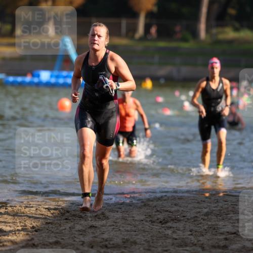 08.09.2024 - Stadtparktriathlon Michael Strokosch http://msf.ph/oto/7027565 08.09.2024 10:13:32 Schwimmen 264, 275, 310, 322 meine-sportfotos.de