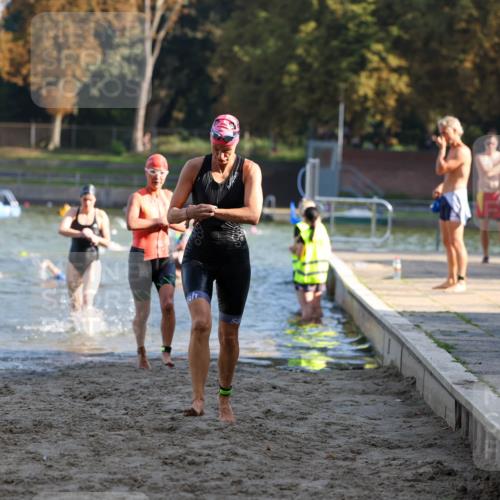 08.09.2024 - Stadtparktriathlon Michael Strokosch http://msf.ph/oto/7027596 08.09.2024 10:13:36 Schwimmen 264, 310, 318, 322, 363 meine-sportfotos.de