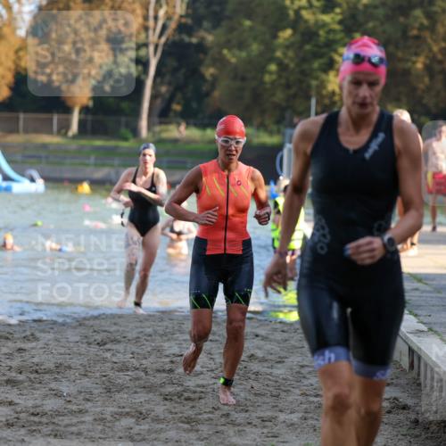 08.09.2024 - Stadtparktriathlon Michael Strokosch http://msf.ph/oto/7027611 08.09.2024 10:13:38 Schwimmen 264, 310, 318, 322, 363 meine-sportfotos.de
