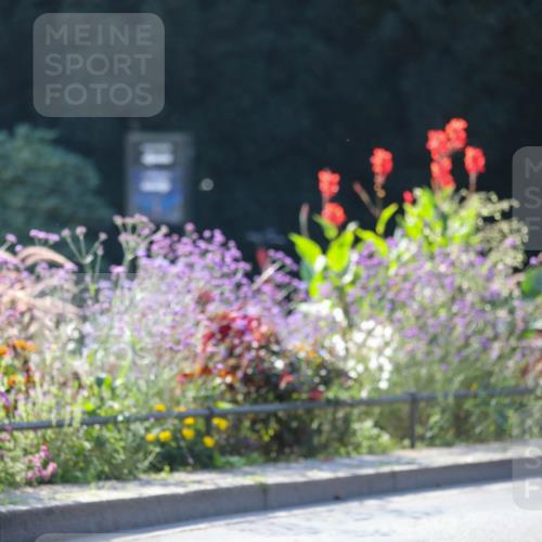 08.09.2024 - Stadtparktriathlon Zöllner http://msf.ph/oto/7027644 08.09.2024 10:56:38 Radfahren 345, 368, 410, 479, 493, 516, 535, 550 meine-sportfotos.de