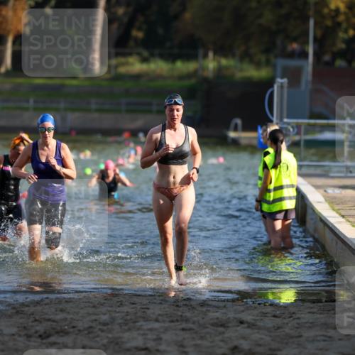 08.09.2024 - Stadtparktriathlon Michael Strokosch http://msf.ph/oto/7027665 08.09.2024 10:13:45 Schwimmen 305, 318, 363 meine-sportfotos.de