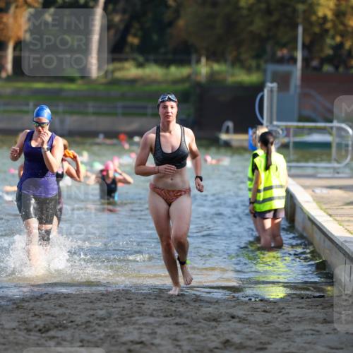08.09.2024 - Stadtparktriathlon Michael Strokosch http://msf.ph/oto/7027674 08.09.2024 10:13:46 Schwimmen 305, 318, 363 meine-sportfotos.de