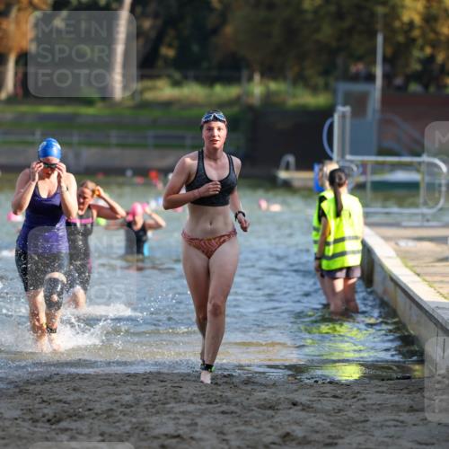 08.09.2024 - Stadtparktriathlon Michael Strokosch http://msf.ph/oto/7027676 08.09.2024 10:13:46 Schwimmen 305, 318, 363 meine-sportfotos.de