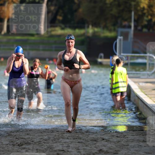 08.09.2024 - Stadtparktriathlon Michael Strokosch http://msf.ph/oto/7027679 08.09.2024 10:13:46 Schwimmen 305, 318, 363 meine-sportfotos.de