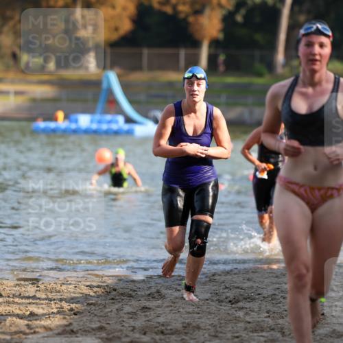 08.09.2024 - Stadtparktriathlon Michael Strokosch http://msf.ph/oto/7027700 08.09.2024 10:13:48 Schwimmen 305, 313, 318, 363 meine-sportfotos.de