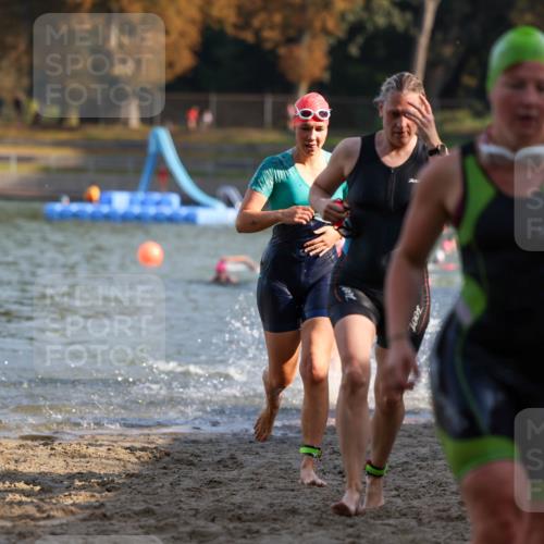 08.09.2024 - Stadtparktriathlon Michael Strokosch http://msf.ph/oto/7027786 08.09.2024 10:14:02 Schwimmen 284, 299, 304, 308, 313, 340, 344 meine-sportfotos.de