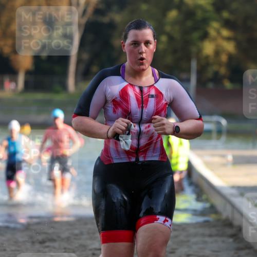 08.09.2024 - Stadtparktriathlon Michael Strokosch http://msf.ph/oto/7027823 08.09.2024 10:14:07 Schwimmen 284, 299, 311, 340, 344, 348, 1937 meine-sportfotos.de
