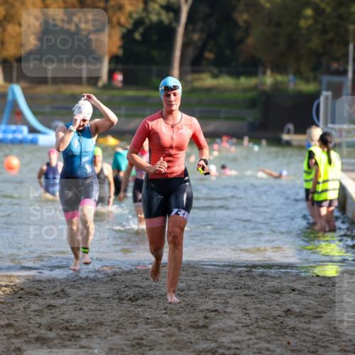 08.09.2024 - Stadtparktriathlon Michael Strokosch http://msf.ph/oto/7027831 08.09.2024 10:14:09 Schwimmen 284, 311, 340, 344, 348, 1937 meine-sportfotos.de