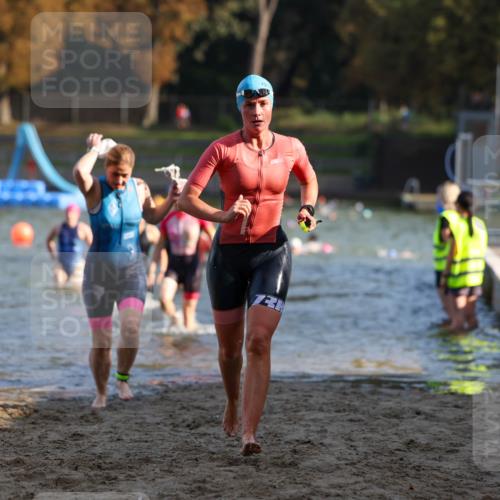 08.09.2024 - Stadtparktriathlon Michael Strokosch http://msf.ph/oto/7027841 08.09.2024 10:14:10 Schwimmen 284, 311, 340, 344, 348, 1937 meine-sportfotos.de