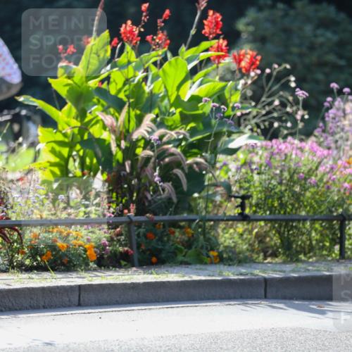 08.09.2024 - Stadtparktriathlon Zöllner http://msf.ph/oto/7027945 08.09.2024 10:57:59 Radfahren 421, 438, 453, 481, 499 meine-sportfotos.de