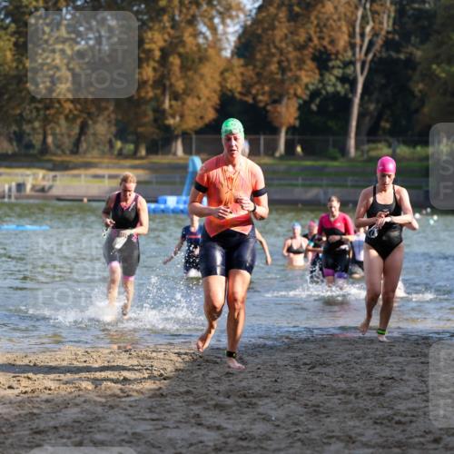 08.09.2024 - Stadtparktriathlon Michael Strokosch http://msf.ph/oto/7027964 08.09.2024 10:14:29 Schwimmen 274, 283, 286, 293, 302, 303, 312, 321, 354, 359, 1936 meine-sportfotos.de