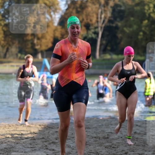08.09.2024 - Stadtparktriathlon Michael Strokosch http://msf.ph/oto/7027985 08.09.2024 10:14:31 Schwimmen 274, 283, 286, 293, 302, 303, 312, 321, 323, 354, 356, 359, 1936 meine-sportfotos.de