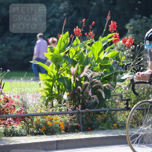 08.09.2024 - Stadtparktriathlon Zöllner http://msf.ph/oto/7027991 08.09.2024 10:58:19 Radfahren 473, 511, 534, 539, 545, 559 meine-sportfotos.de