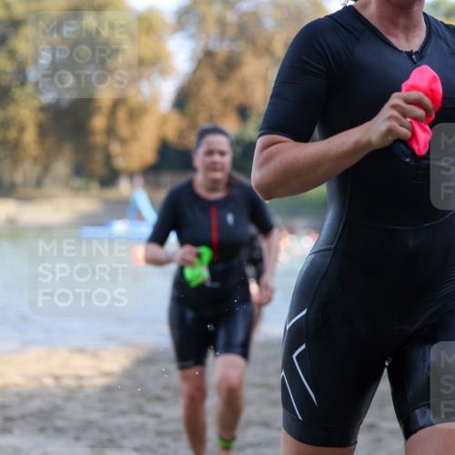 08.09.2024 - Stadtparktriathlon Michael Strokosch http://msf.ph/oto/7028101 08.09.2024 10:14:47 Schwimmen 282, 323, 349, 351, 356 meine-sportfotos.de