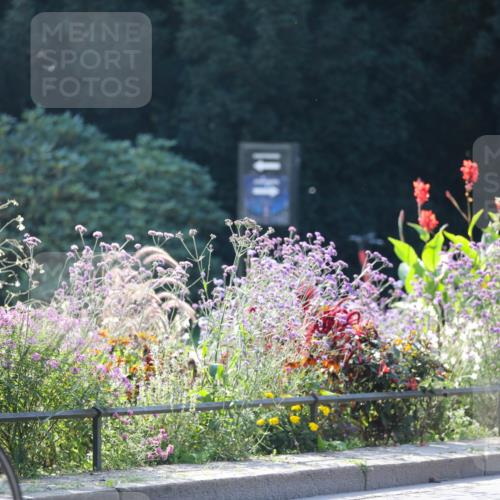 08.09.2024 - Stadtparktriathlon Zöllner http://msf.ph/oto/7028130 08.09.2024 10:58:57 Radfahren 335, 396, 403, 430, 452, 455, 475, 533 meine-sportfotos.de