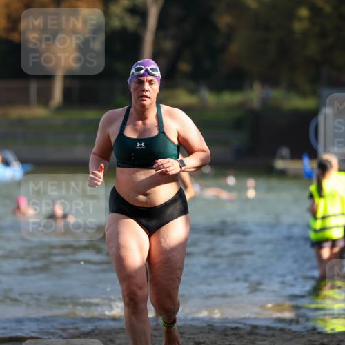 08.09.2024 - Stadtparktriathlon Michael Strokosch http://msf.ph/oto/7028173 08.09.2024 10:15:06 Schwimmen 268, 316 meine-sportfotos.de