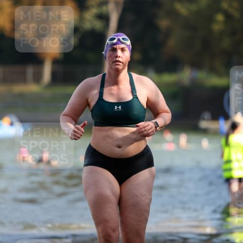 08.09.2024 - Stadtparktriathlon Michael Strokosch http://msf.ph/oto/7028182 08.09.2024 10:15:07 Schwimmen 268, 316 meine-sportfotos.de