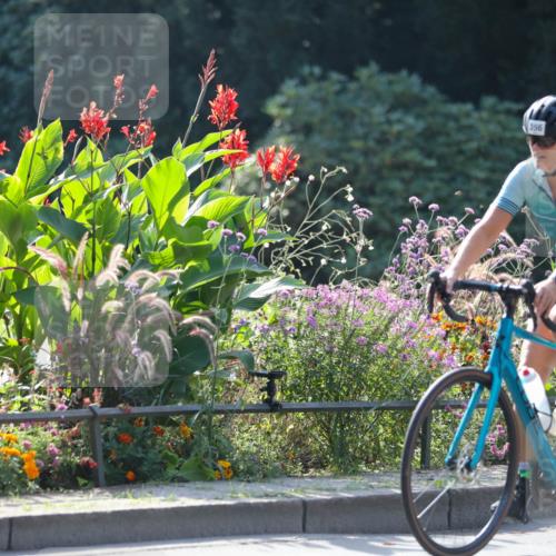 08.09.2024 - Stadtparktriathlon Zöllner http://msf.ph/oto/7028224 08.09.2024 10:59:30 Radfahren 356, 387, 390, 391, 402, 423, 428, 449, 462, 501, 513, 524 meine-sportfotos.de