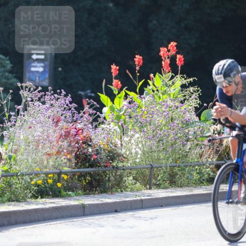 08.09.2024 - Stadtparktriathlon Zöllner http://msf.ph/oto/7028432 08.09.2024 11:00:26 Radfahren 276, 408, 415, 495, 525, 558 meine-sportfotos.de