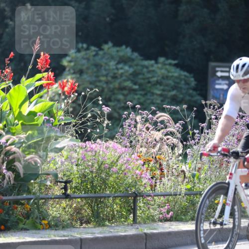 08.09.2024 - Stadtparktriathlon Zöllner http://msf.ph/oto/7028435 08.09.2024 11:00:27 Radfahren 276, 384, 408, 415, 446, 495, 525, 558 meine-sportfotos.de