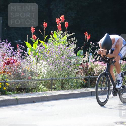 08.09.2024 - Stadtparktriathlon Zöllner http://msf.ph/oto/7028474 08.09.2024 11:00:40 Radfahren 347, 382, 384, 419, 435, 446, 448, 542 meine-sportfotos.de