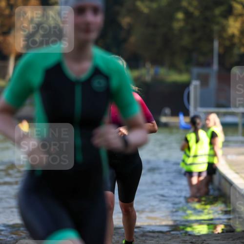 08.09.2024 - Stadtparktriathlon Michael Strokosch http://msf.ph/oto/7028487 08.09.2024 10:16:01 Schwimmen 265, 320, 324, 343 meine-sportfotos.de