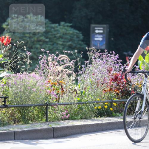 08.09.2024 - Stadtparktriathlon Zöllner http://msf.ph/oto/7028534 08.09.2024 11:00:56 Radfahren 289, 364, 392, 400, 405, 478, 551 meine-sportfotos.de