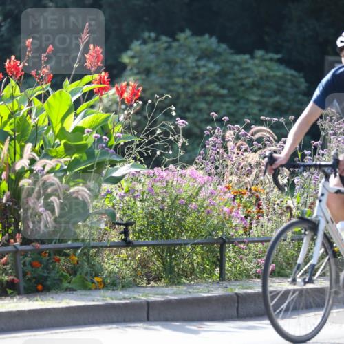08.09.2024 - Stadtparktriathlon Zöllner http://msf.ph/oto/7028537 08.09.2024 11:00:56 Radfahren 289, 364, 392, 400, 405, 478, 551 meine-sportfotos.de