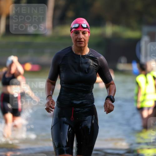 08.09.2024 - Stadtparktriathlon Michael Strokosch http://msf.ph/oto/7028557 08.09.2024 10:16:24 Schwimmen 263, 298, 317, 345, 360 meine-sportfotos.de