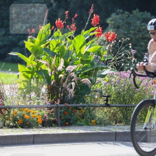 08.09.2024 - Stadtparktriathlon Zöllner http://msf.ph/oto/7028575 08.09.2024 11:01:07 Radfahren 43, 399, 429, 506, 527, 549, 551 meine-sportfotos.de