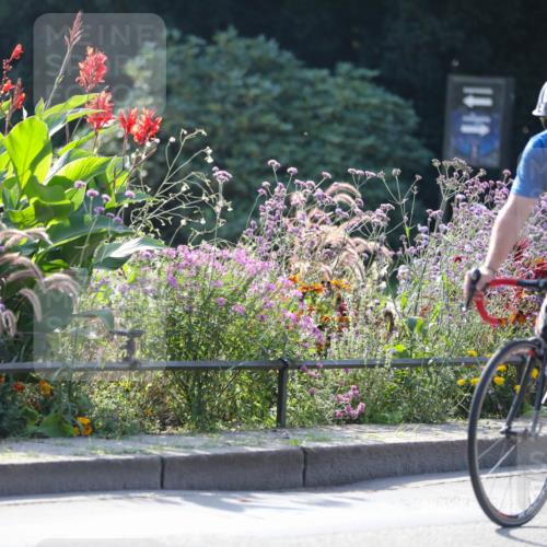 08.09.2024 - Stadtparktriathlon Zöllner http://msf.ph/oto/7028584 08.09.2024 11:01:13 Radfahren 43, 380, 399, 429, 506, 527, 549 meine-sportfotos.de