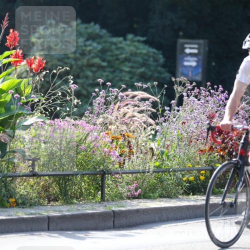 08.09.2024 - Stadtparktriathlon Zöllner http://msf.ph/oto/7028602 08.09.2024 11:01:21 Radfahren 380, 429, 440, 468, 469 meine-sportfotos.de