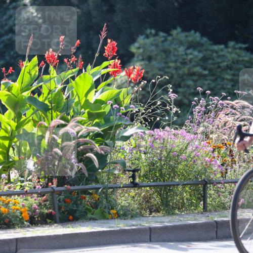 08.09.2024 - Stadtparktriathlon Zöllner http://msf.ph/oto/7028608 08.09.2024 11:01:27 Radfahren 440, 447, 468, 469, 526, 552 meine-sportfotos.de