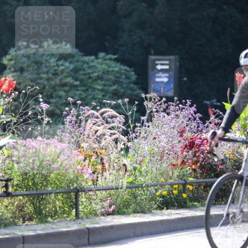 08.09.2024 - Stadtparktriathlon Zöllner http://msf.ph/oto/7028641 08.09.2024 11:01:42 Radfahren 366, 372, 373, 381, 490 meine-sportfotos.de