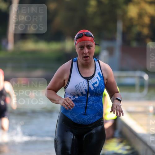 08.09.2024 - Stadtparktriathlon Michael Strokosch http://msf.ph/oto/7028649 08.09.2024 10:16:34 Schwimmen 280, 317 meine-sportfotos.de