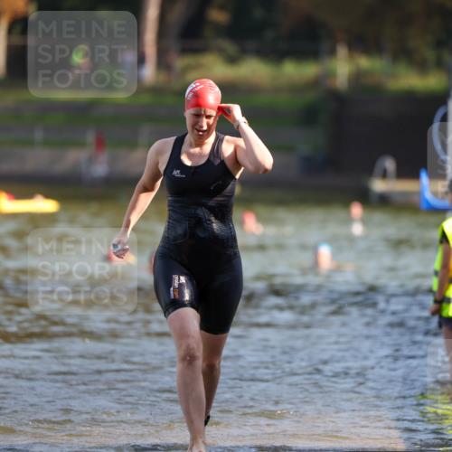 08.09.2024 - Stadtparktriathlon Michael Strokosch http://msf.ph/oto/7028672 08.09.2024 10:16:37 Schwimmen 280 meine-sportfotos.de