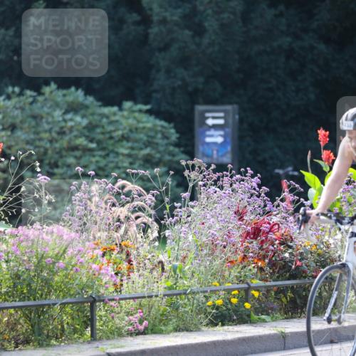 08.09.2024 - Stadtparktriathlon Zöllner http://msf.ph/oto/7028763 08.09.2024 11:03:49 Radfahren 433, 444, 515, 538 meine-sportfotos.de