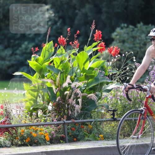 08.09.2024 - Stadtparktriathlon Zöllner http://msf.ph/oto/7028848 08.09.2024 11:04:34 Radfahren 421, 424, 438, 481, 504 meine-sportfotos.de