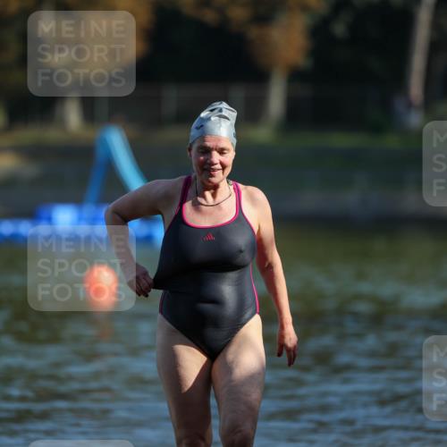 08.09.2024 - Stadtparktriathlon Michael Strokosch http://msf.ph/oto/7028942 08.09.2024 10:17:48 Schwimmen 327 meine-sportfotos.de