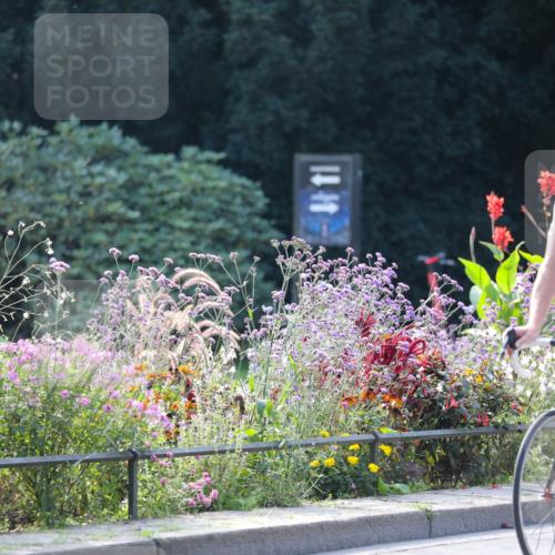 08.09.2024 - Stadtparktriathlon Zöllner http://msf.ph/oto/7028948 08.09.2024 11:05:11 Radfahren 436, 492, 499, 539 meine-sportfotos.de