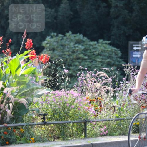 08.09.2024 - Stadtparktriathlon Zöllner http://msf.ph/oto/7028950 08.09.2024 11:05:11 Radfahren 436, 492, 499, 539 meine-sportfotos.de