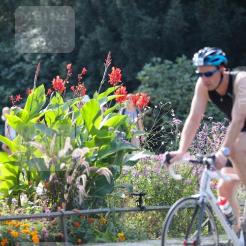 08.09.2024 - Stadtparktriathlon Zöllner http://msf.ph/oto/7028953 08.09.2024 11:05:11 Radfahren 436, 492, 499, 539 meine-sportfotos.de