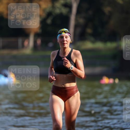 08.09.2024 - Stadtparktriathlon Michael Strokosch http://msf.ph/oto/7028985 08.09.2024 10:18:14 Schwimmen 355 meine-sportfotos.de